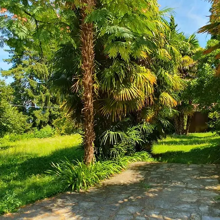 Casa Paradiso Appartamento