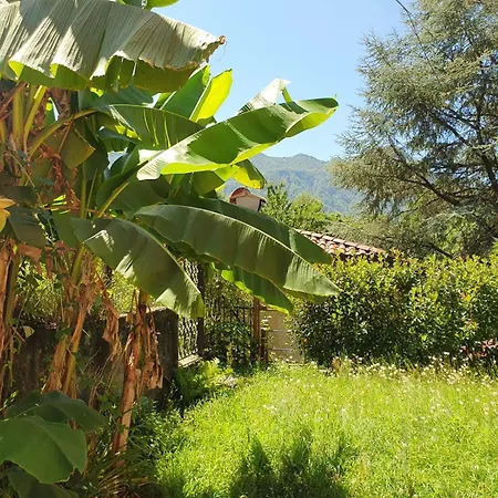 Appartamento Casa Paradiso *